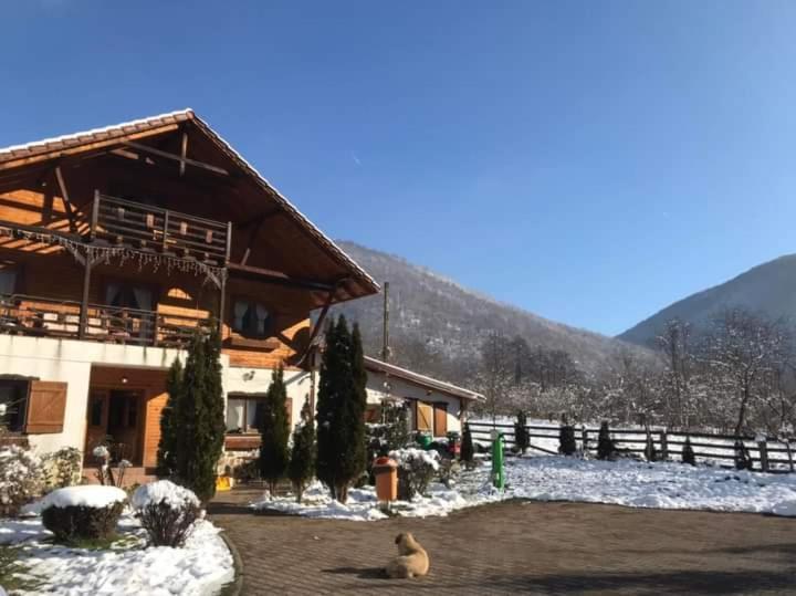 Gasthaus Maria Borlova Exterior foto