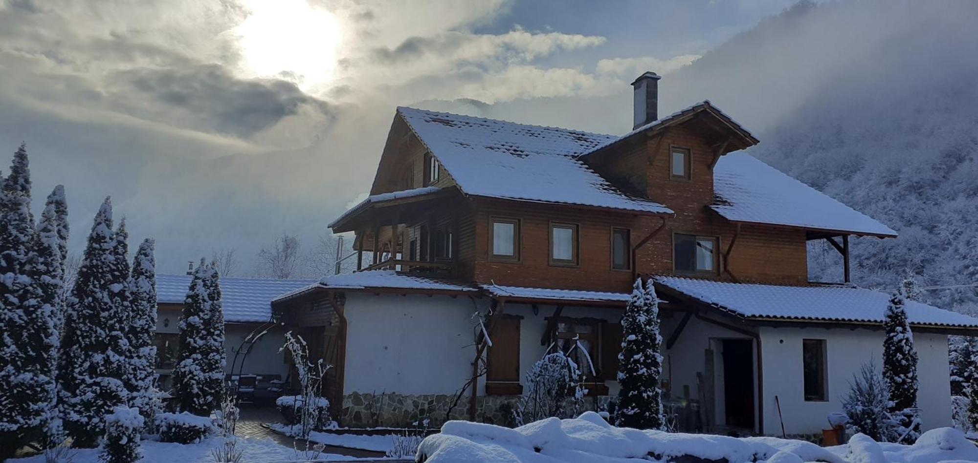 Gasthaus Maria Borlova Exterior foto