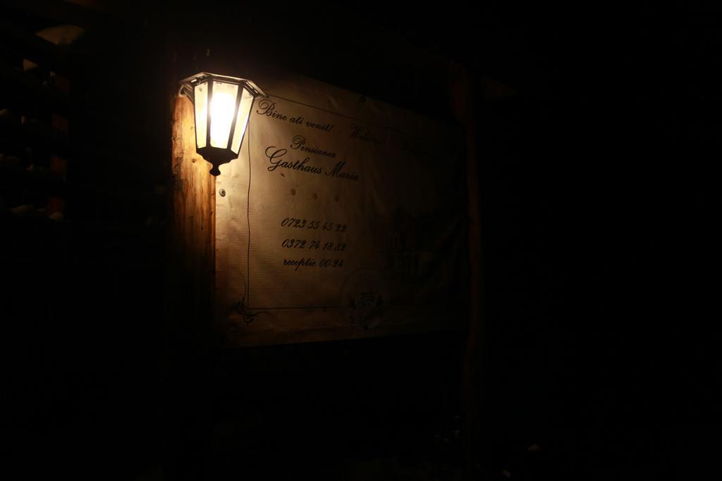 Gasthaus Maria Borlova Exterior foto